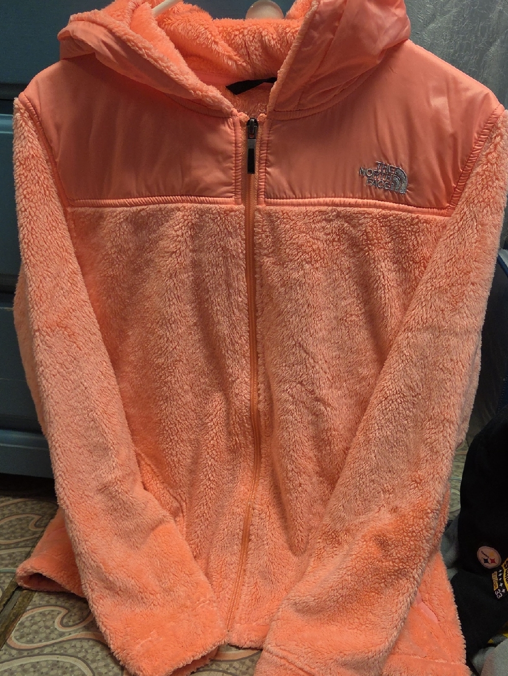 The North Face Coral Sherpa Fleece Zip Hoodie
